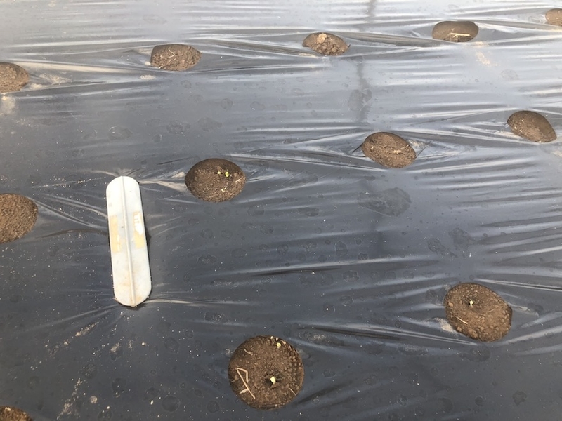 f:id:sk6960:20200825081742j:plain