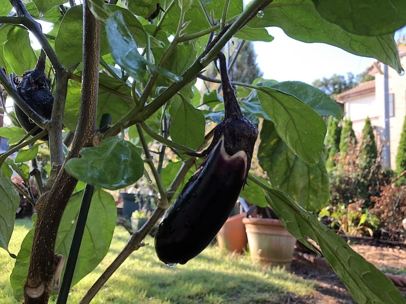 f:id:sk6960:20200828070712j:plain