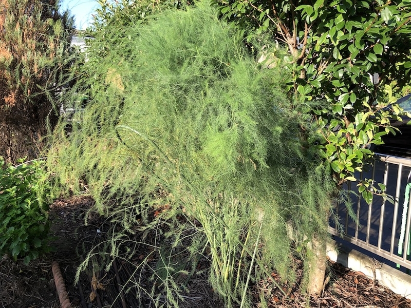 f:id:sk6960:20200828070717j:plain