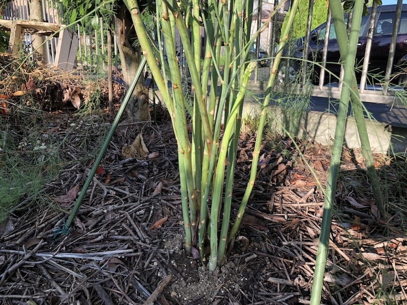 f:id:sk6960:20200828070727j:plain