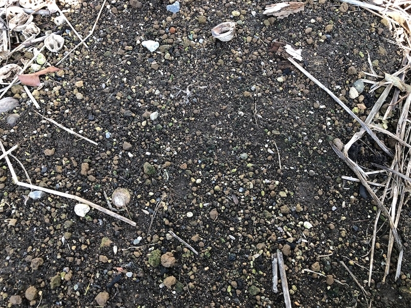 f:id:sk6960:20200828070732j:plain