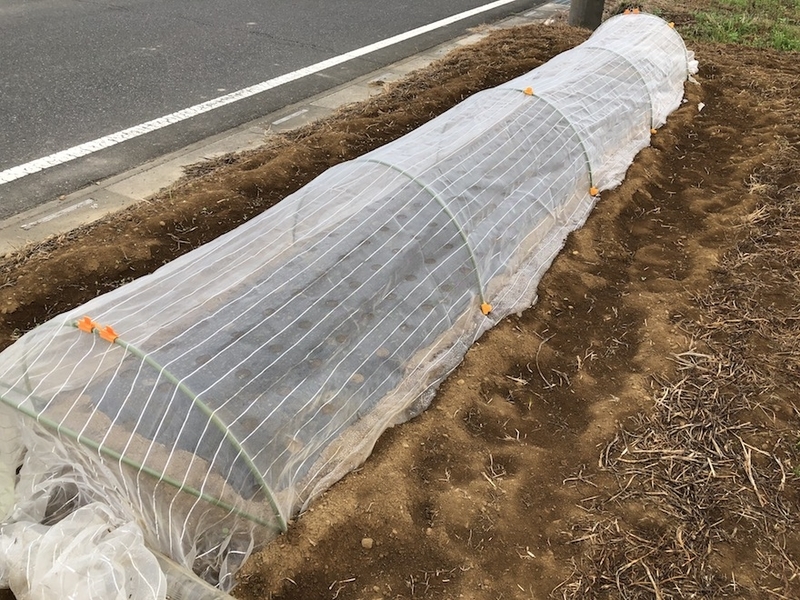 f:id:sk6960:20200901145452j:plain