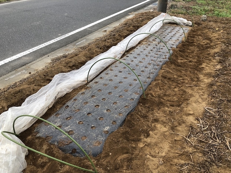 f:id:sk6960:20200901145457j:plain