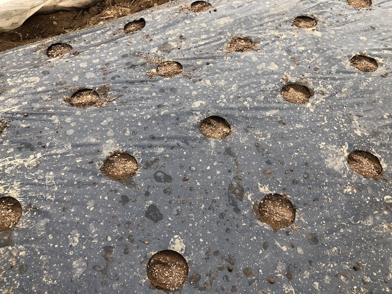 f:id:sk6960:20200901145502j:plain