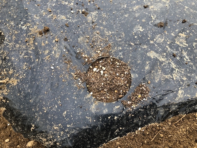 f:id:sk6960:20200901145506j:plain