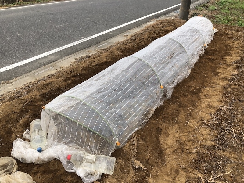 f:id:sk6960:20200901145511j:plain