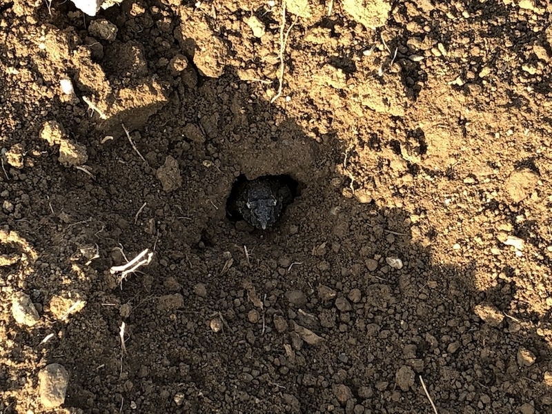 f:id:sk6960:20200904085233j:plain