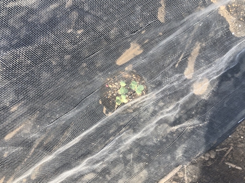 f:id:sk6960:20200904085247j:plain