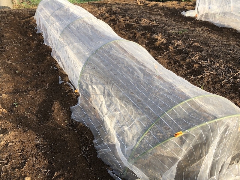 f:id:sk6960:20200904085251j:plain