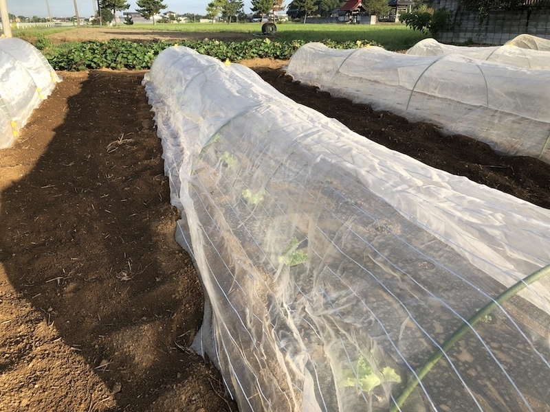 f:id:sk6960:20200904085314j:plain