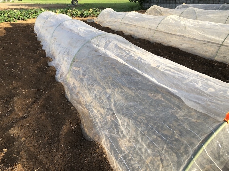 f:id:sk6960:20200904085329j:plain