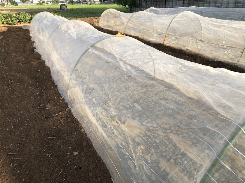 f:id:sk6960:20200904085338j:plain