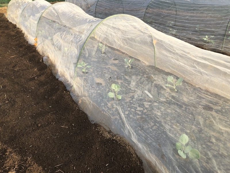 f:id:sk6960:20200904085343j:plain