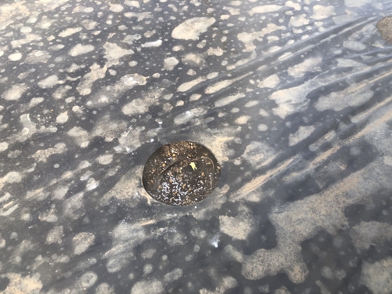 f:id:sk6960:20200904085400j:plain