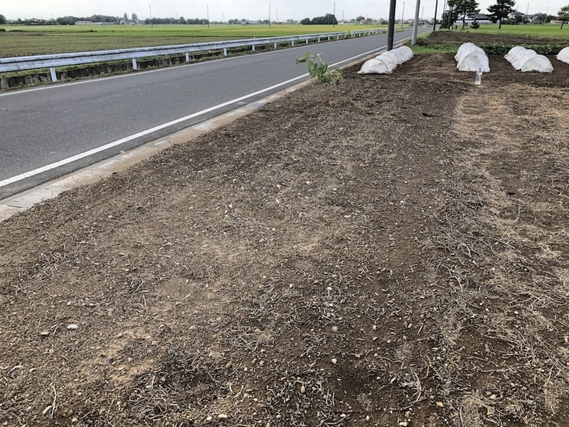 f:id:sk6960:20200906073533j:plain