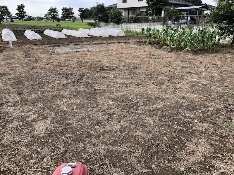 f:id:sk6960:20200906073538j:plain