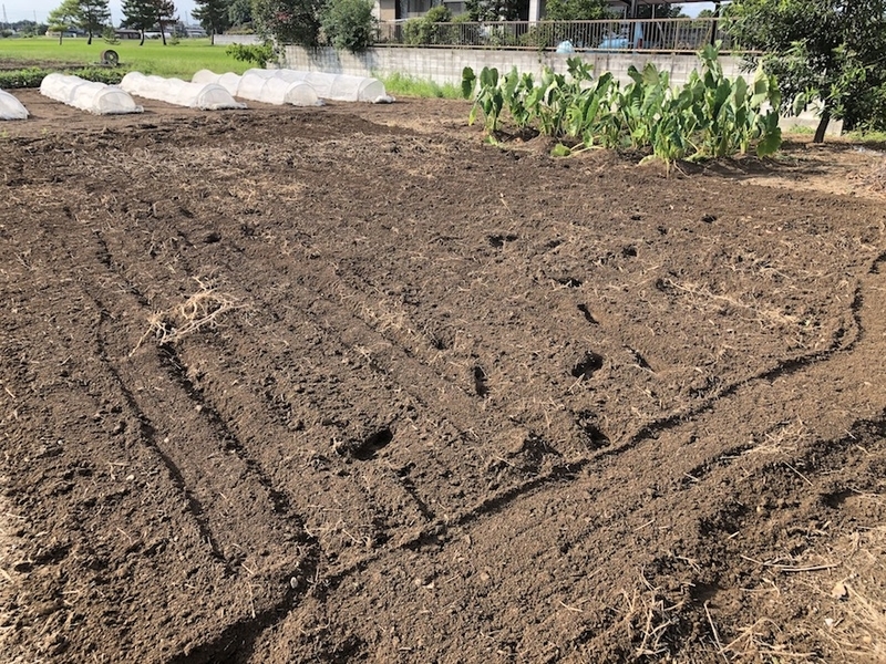 f:id:sk6960:20200906073547j:plain