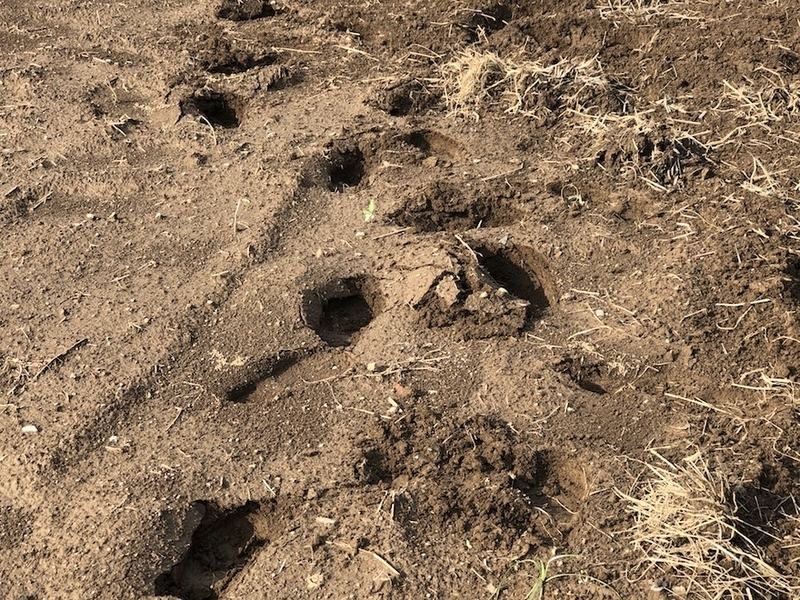 f:id:sk6960:20200906073551j:plain