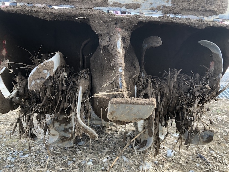 f:id:sk6960:20200906073556j:plain