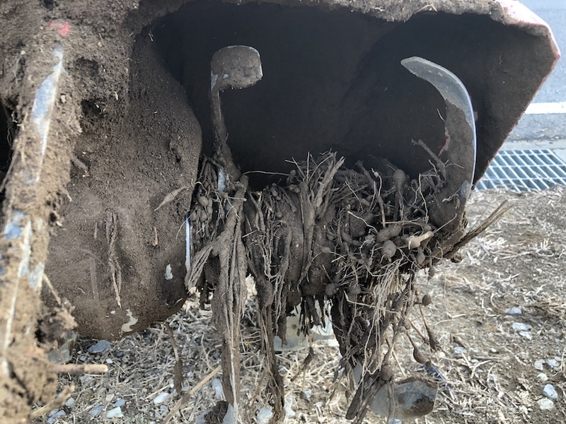 f:id:sk6960:20200906073601j:plain