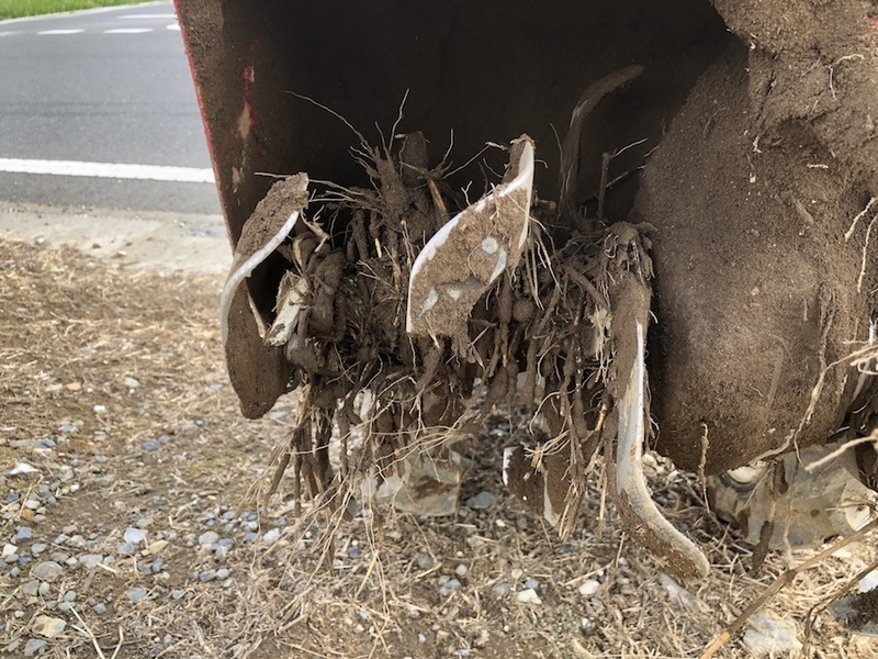 f:id:sk6960:20200906073606j:plain