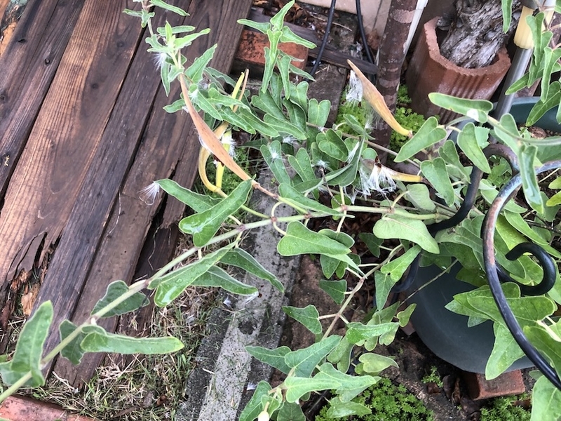 f:id:sk6960:20200915085334j:plain