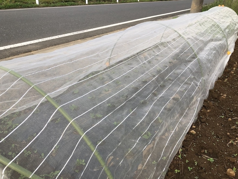 f:id:sk6960:20201005115517j:plain