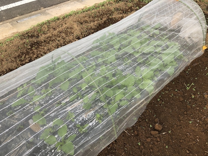 f:id:sk6960:20201005115521j:plain