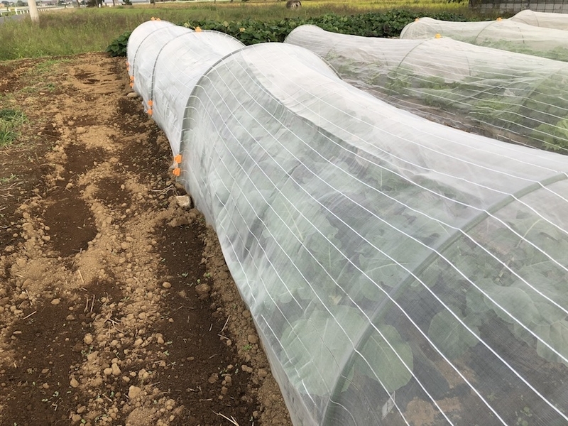 f:id:sk6960:20201005115531j:plain