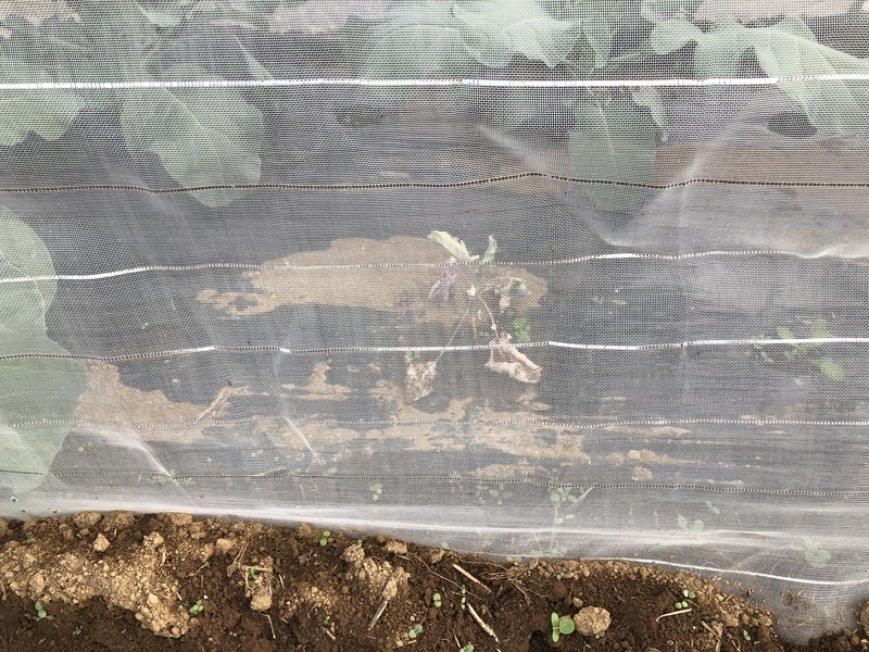 f:id:sk6960:20201005115535j:plain