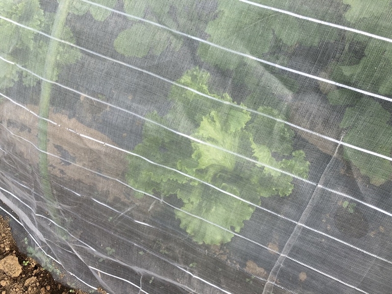 f:id:sk6960:20201005115602j:plain