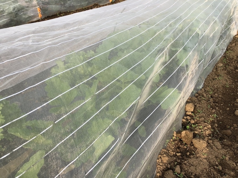 f:id:sk6960:20201005115607j:plain