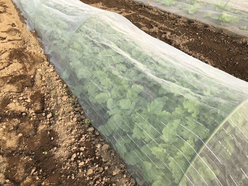 f:id:sk6960:20201005115615j:plain