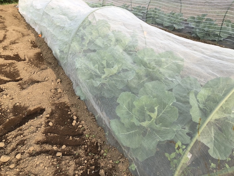 f:id:sk6960:20201005121110j:plain