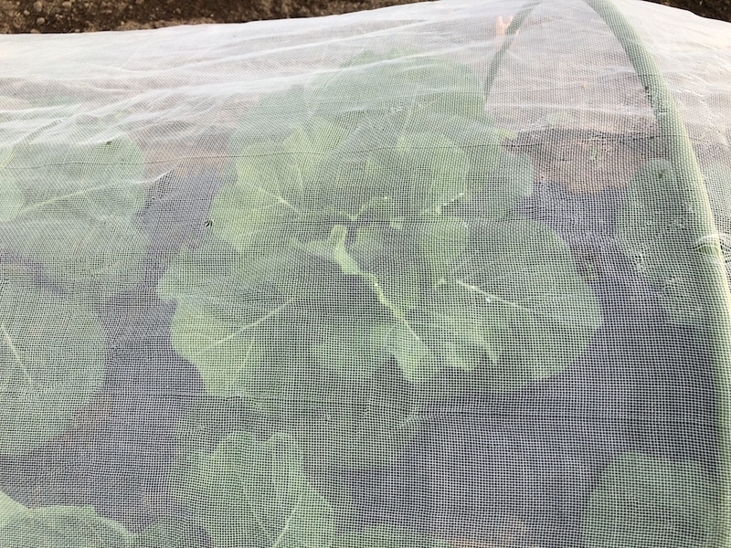 f:id:sk6960:20201005121115j:plain