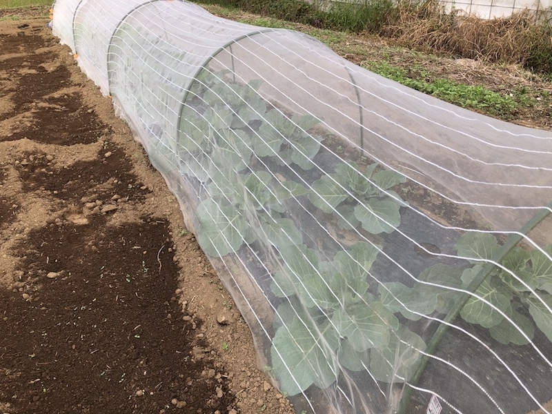 f:id:sk6960:20201005121125j:plain