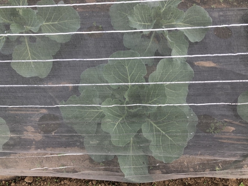 f:id:sk6960:20201005121129j:plain