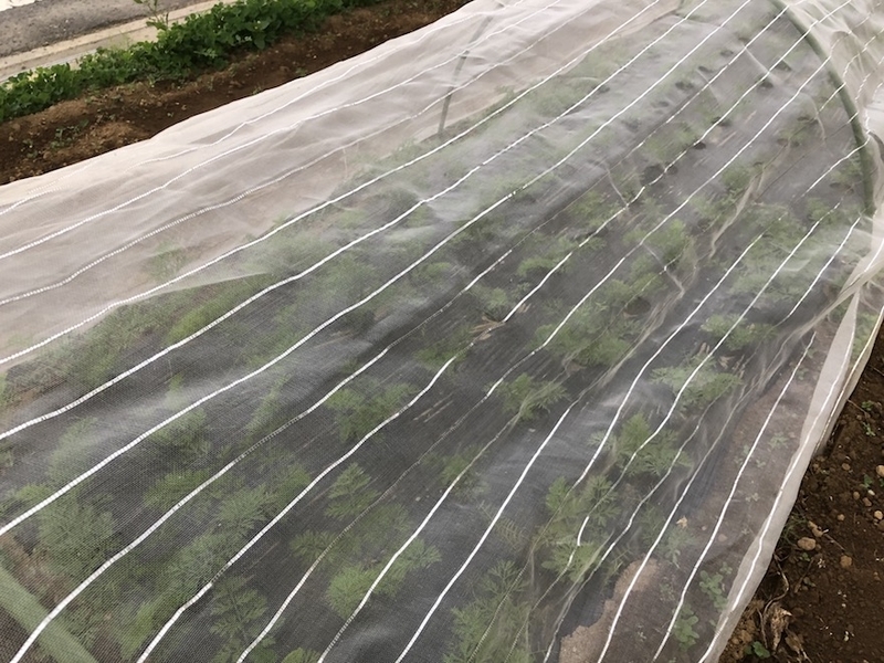 f:id:sk6960:20201120095735j:plain