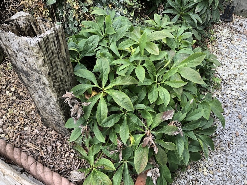 f:id:sk6960:20210824083501j:plain