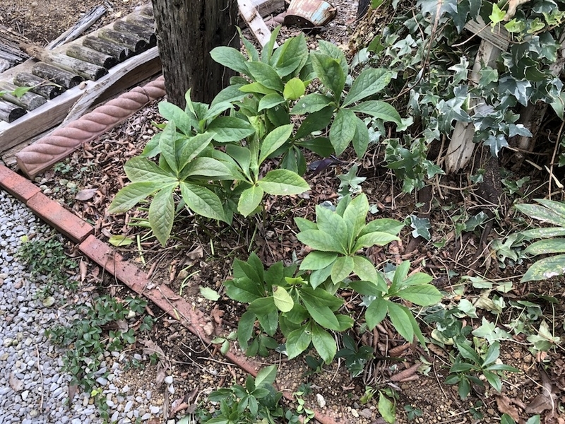 f:id:sk6960:20210824083518j:plain