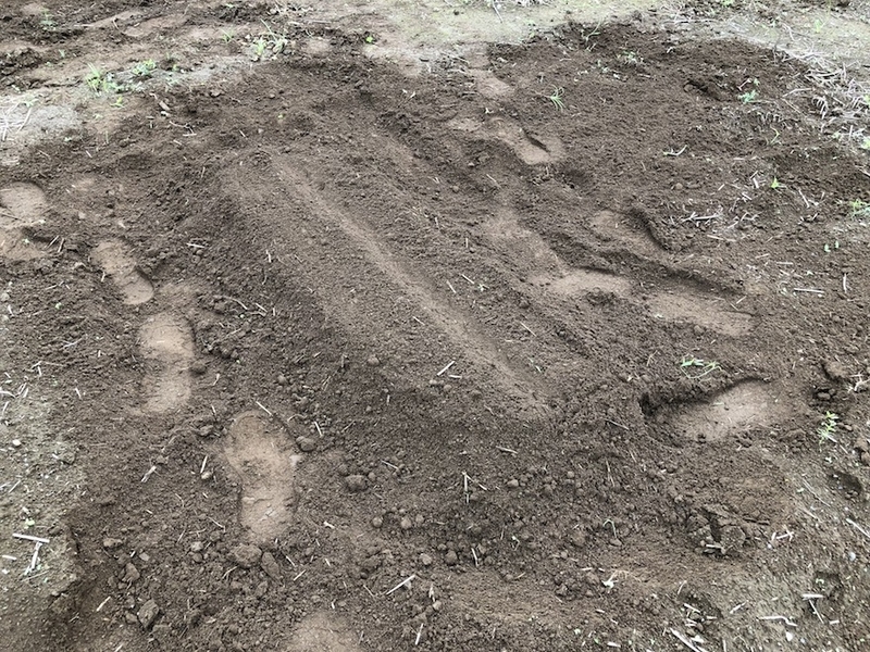 f:id:sk6960:20210913084828j:plain