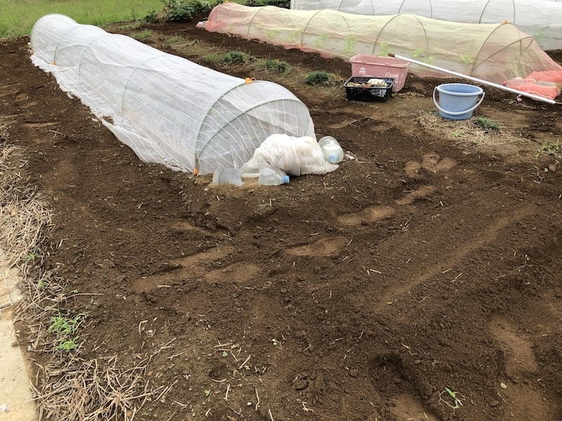 f:id:sk6960:20210913084832j:plain