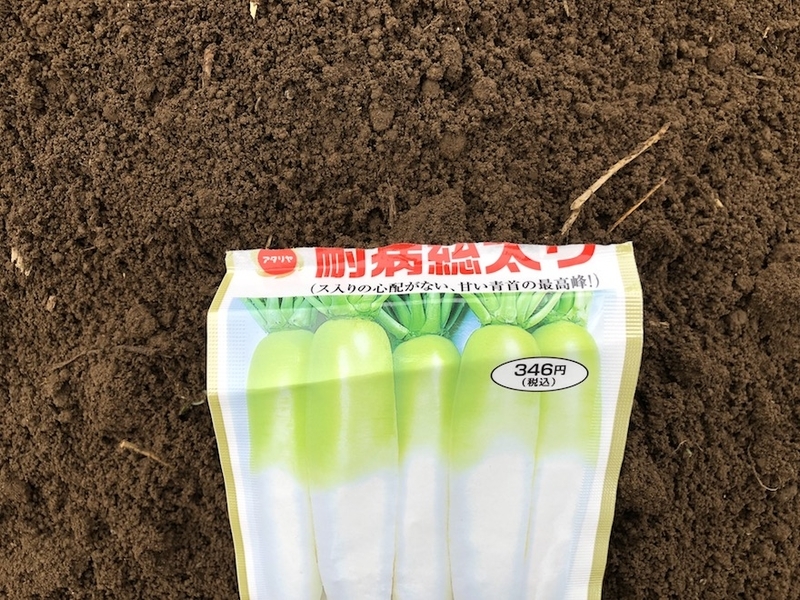 f:id:sk6960:20210913084836j:plain