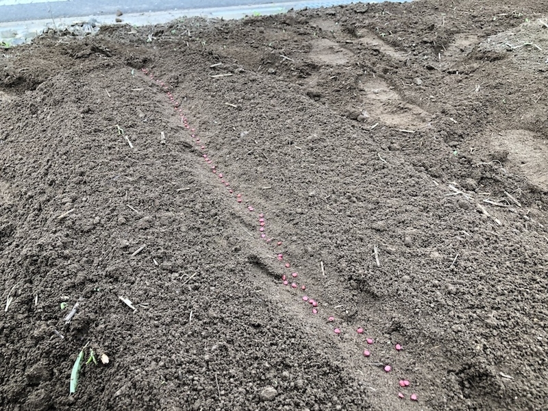 f:id:sk6960:20210913084848j:plain