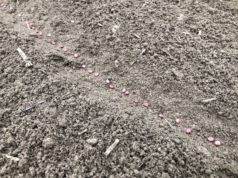 f:id:sk6960:20210913084852j:plain