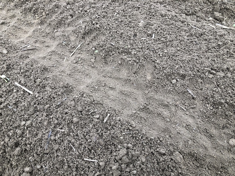 f:id:sk6960:20210913084856j:plain