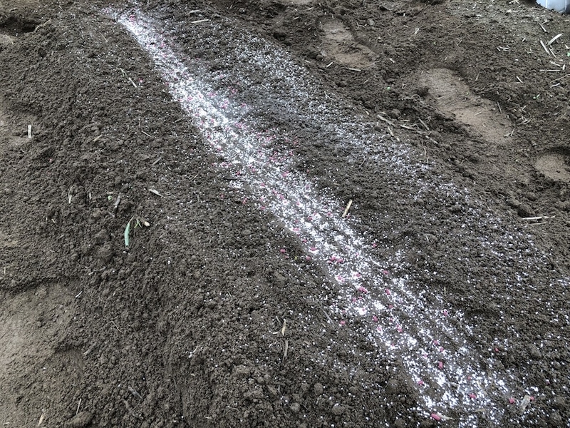 f:id:sk6960:20210913084900j:plain