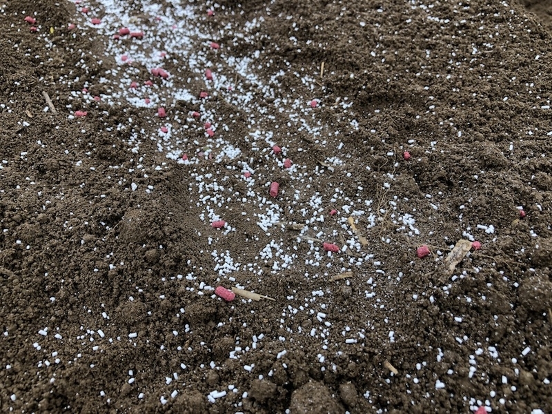 f:id:sk6960:20210913084904j:plain