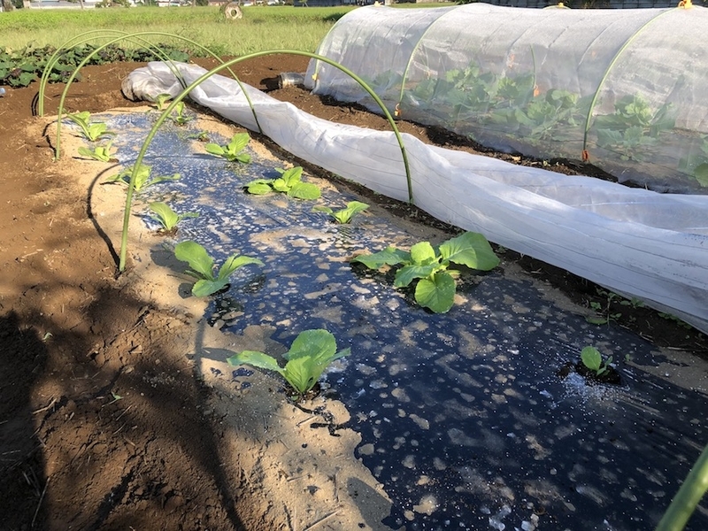 f:id:sk6960:20210920152514j:plain