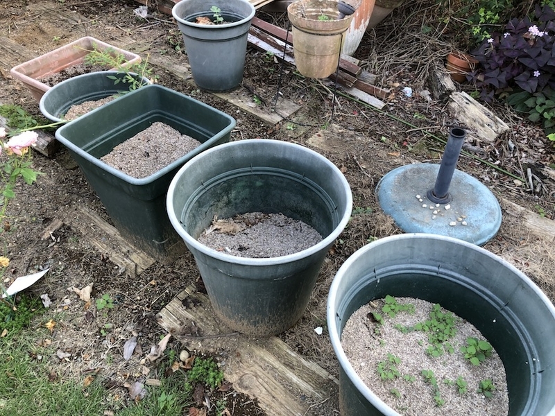 f:id:sk6960:20211011085550j:plain